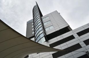 DSC 0250
