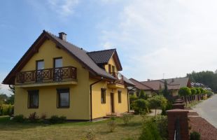 DSC 0019
