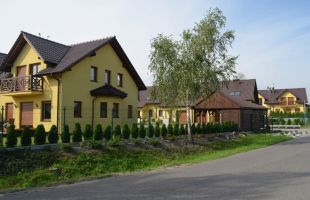DSC 0033